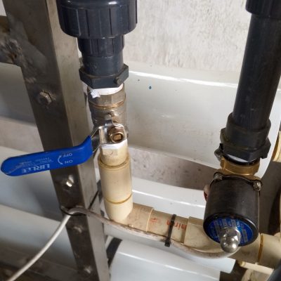 IMG_20241121_082704_076