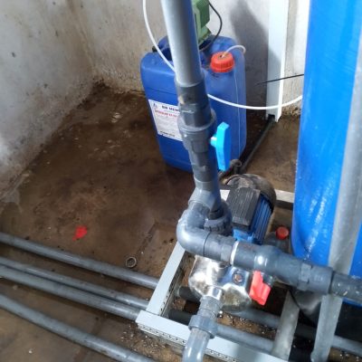 IMG_20241121_154245_609