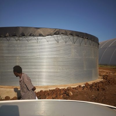 IMG_20250207_172051_744