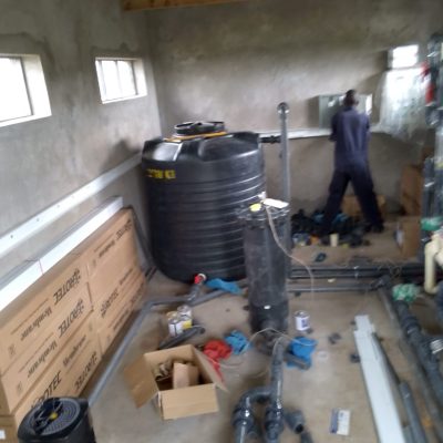 IMG_20250215_151259_502