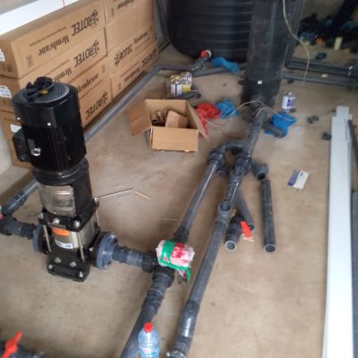 IMG_20250215_151302_231