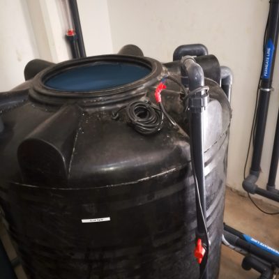 IMG_20251229_111149_425